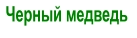 Черный медведь