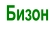 Бизон