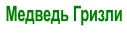 Медведь Гризли