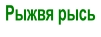 Рыжвя рысь