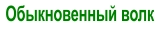 Обыкновенный волк