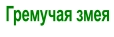 Гремучая змея