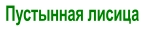 Пустынная лисица
