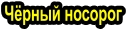 Чёрный носорог