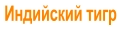 Индийский тигр