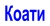 Коати