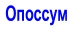 Опоссум